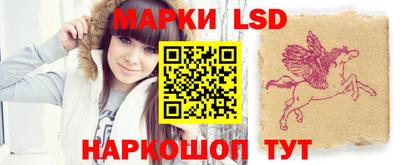 гидра Новодвинск