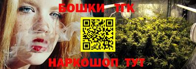 гидра Новодвинск