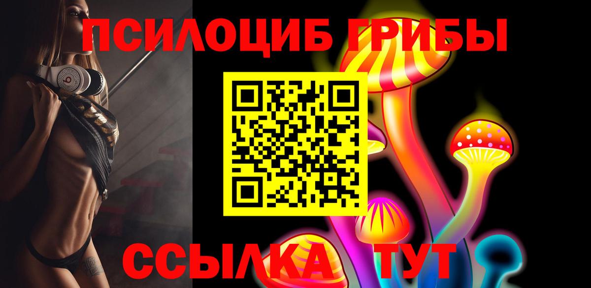 Галлюциногенные грибы прущие грибы Бутурлиновка